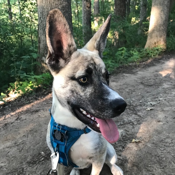 Meet your Posher, Scott - Picture 1 of 1